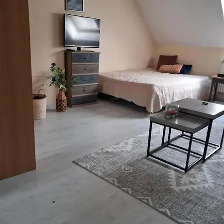 Lumineux Avec Jardin à Le Mans, 35 M², 2 Pers. Appartement