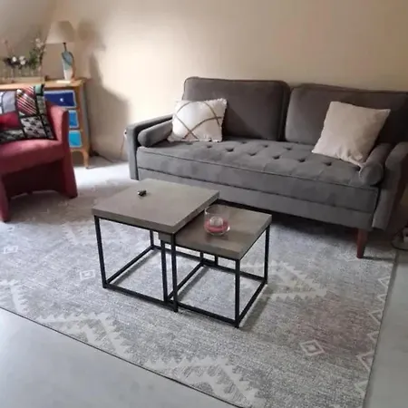 公寓 Appartement Lumineux Avec Jardin A Le Mans, 35 M², 2 Pers. 勒芒