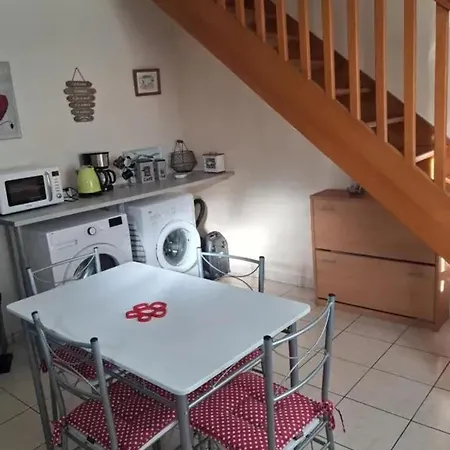 Appartamento Lumineux Avec Jardin à Le Mans, 35 M², 2 Pers.