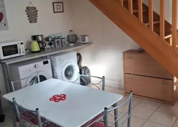 公寓 Appartement Lumineux Avec Jardin A Le Mans, 35 M², 2 Pers.